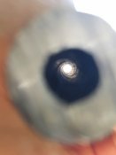 Обрезок ствола 7.62 ВМ  с 1 грн