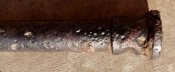 IMG_20210905_085741.jpg