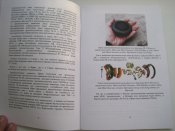 Иностранные мины на Ближнем и Среднем Востоке и в Северной Африке. (1 шт.)