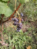 IMG_20210906_134826.jpg