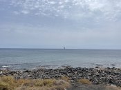 20240B71-E31B-4AF2-A0C0-6A668288C6DF.jpeg