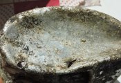 DSCN5657.JPG