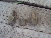 DSC01317.JPG