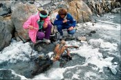 otzi-mountaineers.jpg