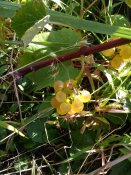 IMG_20210906_140728.jpg