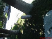 DSC02962.JPG