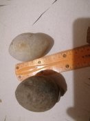 IMG_20210912_201333.jpg