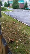 IMG_20210913_161923.jpg
