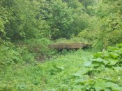 DSCN0089.JPG