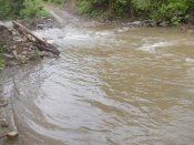 DSCN0090.JPG