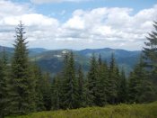DSCN0102.JPG