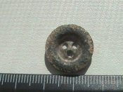 DSC00781.JPG