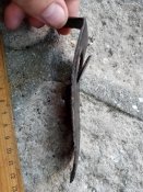 Тыльник Томпсон