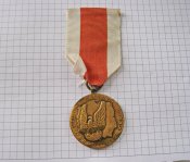 За заслуги при защите страны Польша