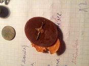 20130530_203037.jpg