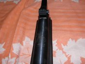 DSC03670.JPG
