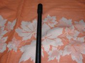 DSC03678.JPG