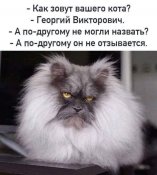 зображення_viber_2021-09-19_21-36-21-362.jpg