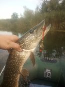 IMG_20210912_081248.jpg
