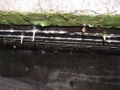 IMG_2137.JPG