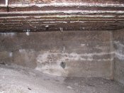 IMG_2138.JPG