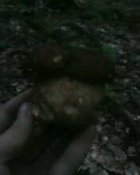 IMG0425A.jpg