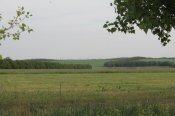 IMG_7576.JPG