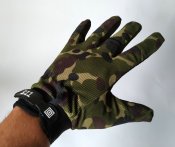 IMG_20201127_112952.jpg