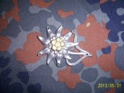 PIC_0268.JPG