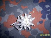 PIC_0271.JPG