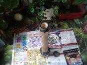 20130601_131810.jpg
