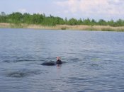 Waserman2013-6 023.jpg