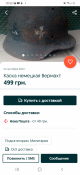 Screenshot_20210926-195355_OLXua.png