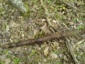DSC00134.jpg