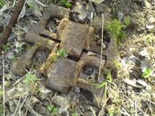 DSC00135.jpg