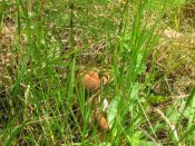 IMG_0269.JPG