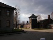 IMGP0822.JPG
