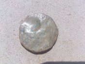 DSC_0022.jpg
