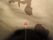 IMG_0331.jpg