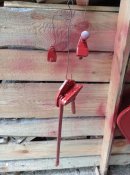 IMG_20210917_142651.jpg
