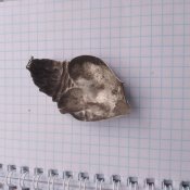 Срібна католицька підвіска.