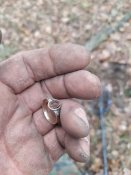 IMG_20210103_112828.jpg