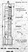 SAB-25.jpg