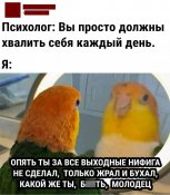 зображення_viber_2021-09-25_23-18-13-818.jpg
