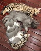 зображення_viber_2021-09-24_20-02-50-739.jpg