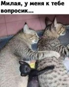 зображення_viber_2021-09-26_17-35-43-691.jpg