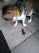 IMG_20210929_071530.jpg