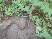 DSCN0141.JPG