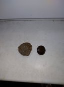 IMG_20210929_092042.jpg
