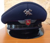 Фуражка пожарного Германия, Нижняя Саксония